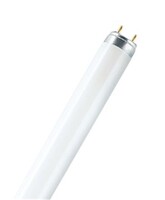 General Electric - General Electric 36 W/840 T8 Ampul