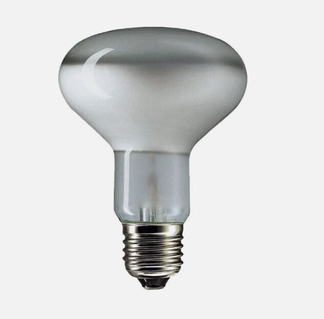 Leuci 100W 230V R80 E27 80mm Matt Reflector Spot Ampul Leuci 100W 230V R80 E27 80mm Matt Reflector Spot Ampul