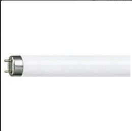 Osram - Osram 18 W/865 T8 Ampul