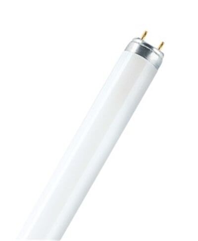 Osram - Osram 30 W/840 T8 Ampul