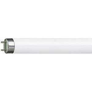 Osram 35 W/830 T5 Florasan Ampul - 1