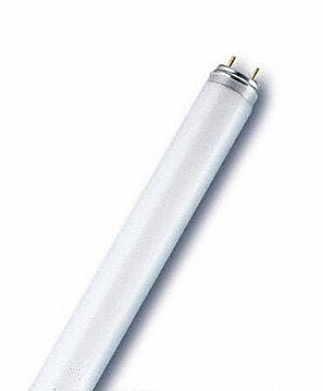 PHILIPS L 36 W/865 T8 FLORESAN AMPUL
