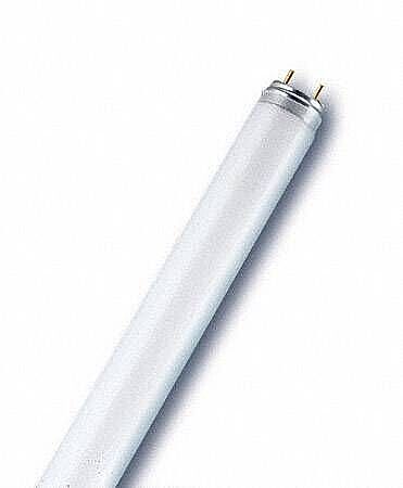Osram L 18W/827 18 Watt G13 Duy T8 Floresan Ampulü - 3