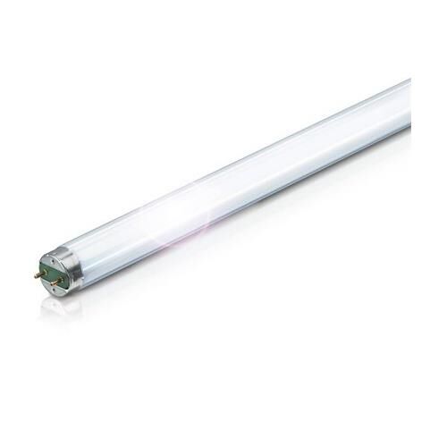 Philips - Phılıps 18 W/840 T8 Ampul