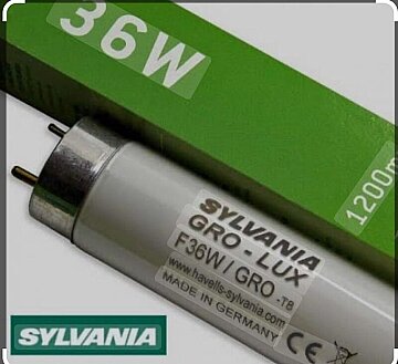 Sylvania 36 W / Gro-Lux T8 Kasap Florasan Ampul